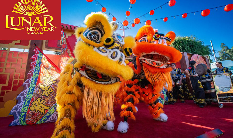 SeaWorld San Diego 農曆新年美食與節慶體驗一次感受 (1/31-2/16)